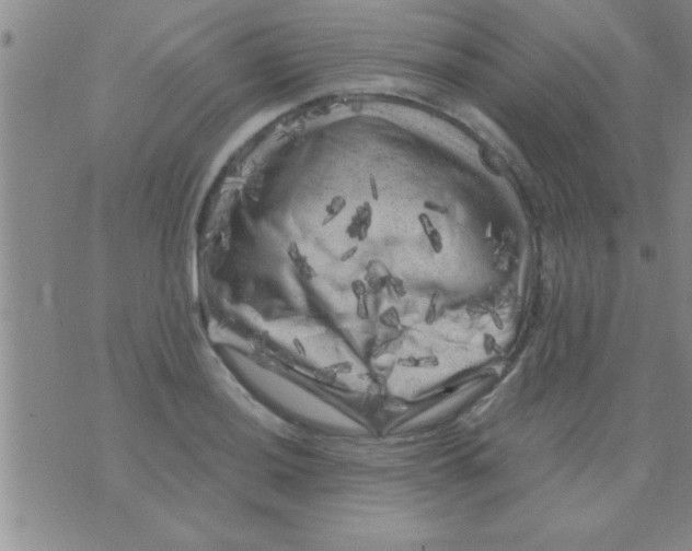 X0000075921036200610151901