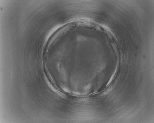 X0000075921038200610151901