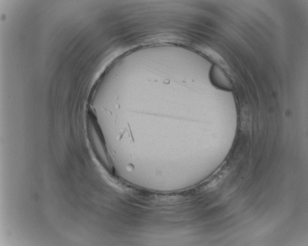 X0000075921039200610151901