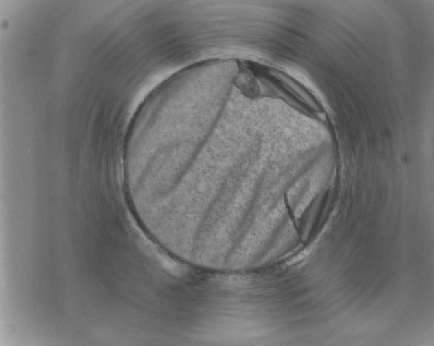 X0000075921040200610151901