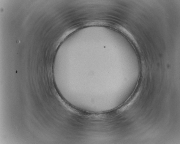 X0000075921041200610151901