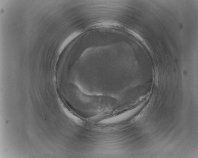 X0000075921042200610151901