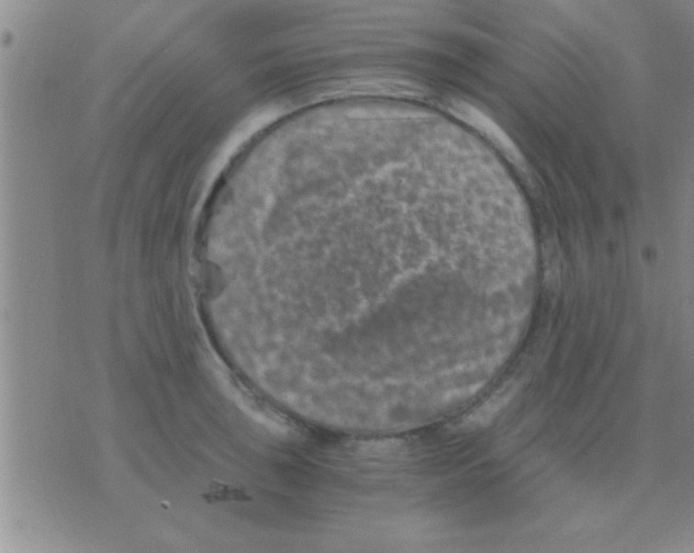 X0000075921043200610151901