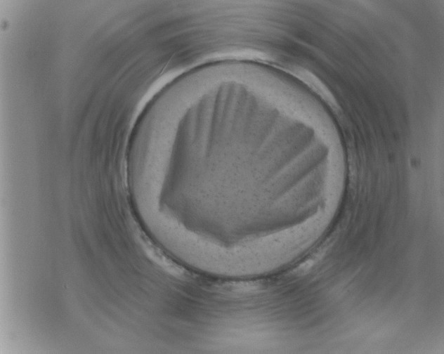 X0000075921044200610151901