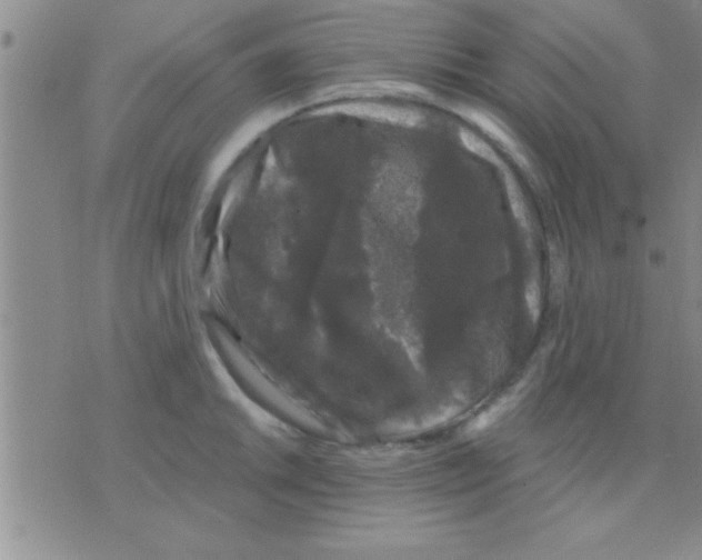 X0000075921046200610151901