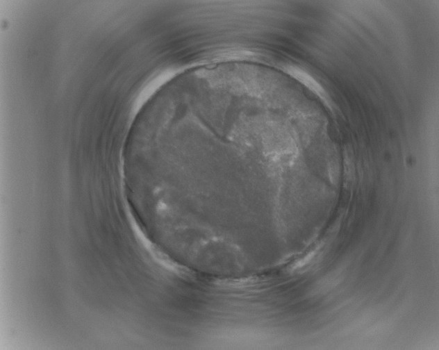 X0000075921047200610151901