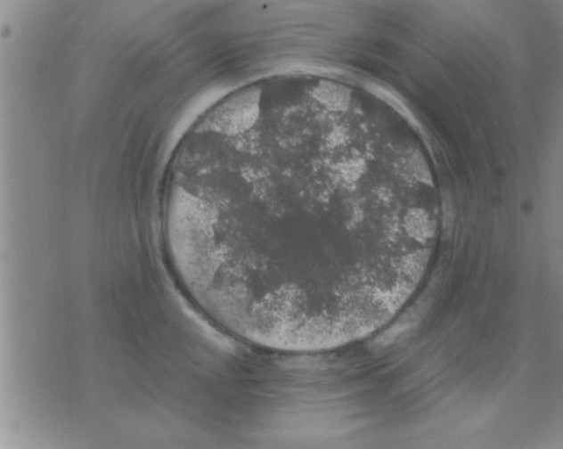 X0000075921048200610151901