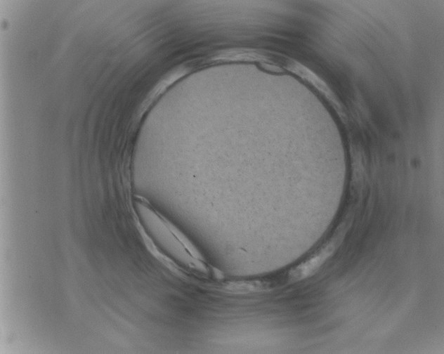 X0000075921049200610151901