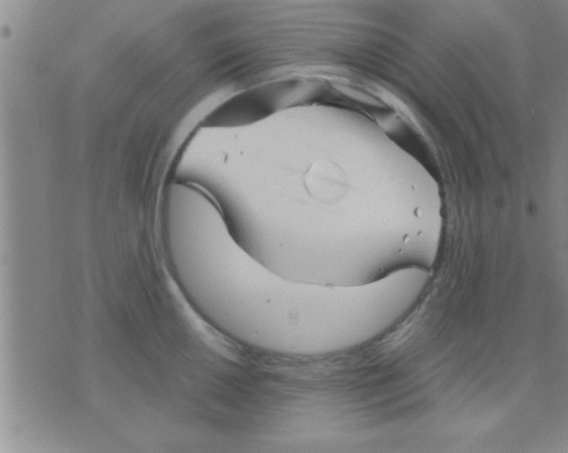 X0000075921050200610151901