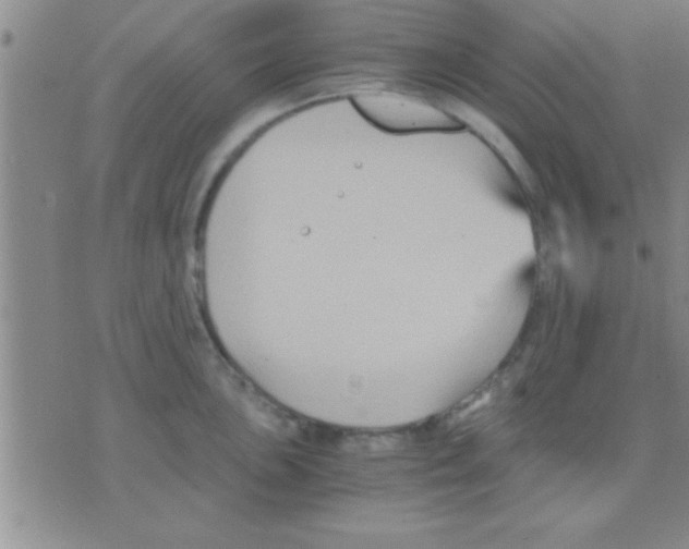 X0000075921051200610151901