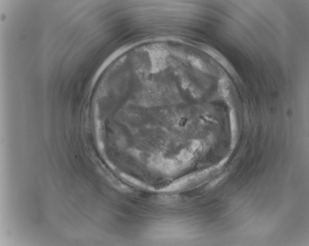 X0000075921052200610151901