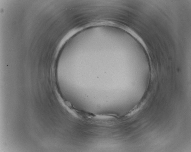 X0000075921053200610151901