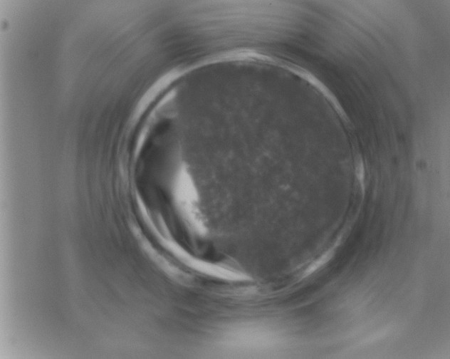 X0000075921054200610151901