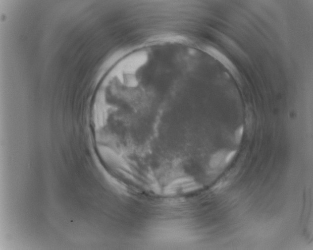 X0000075921055200610151901