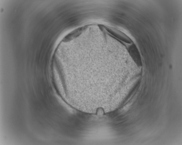 X0000075921056200610151901