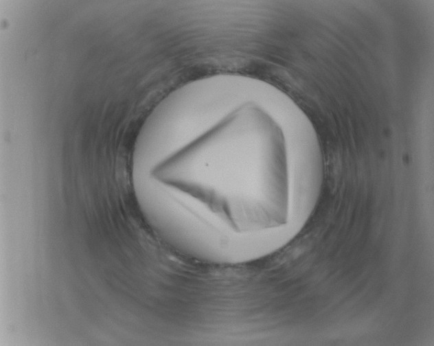 X0000075921058200610151901