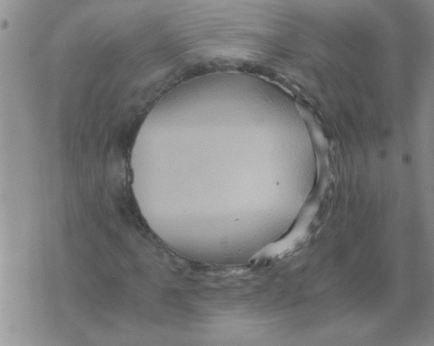 X0000075921061200610151901