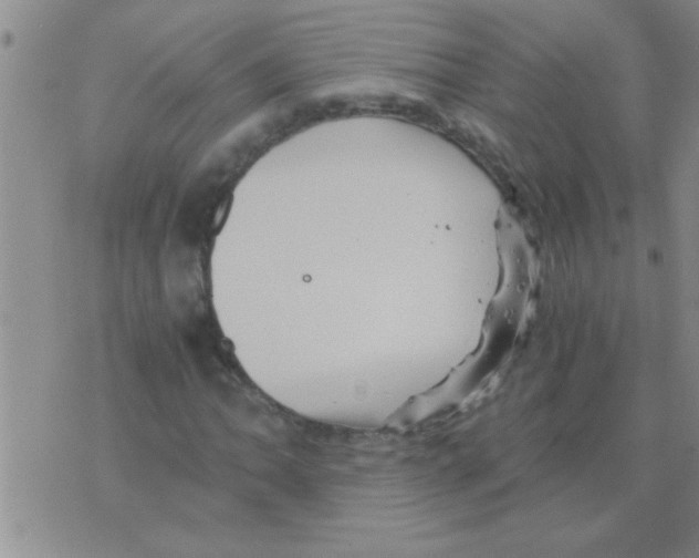 X0000075921062200610151901