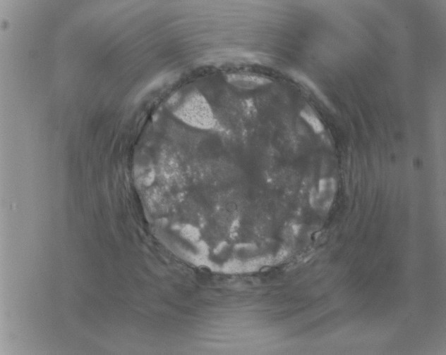 X0000075921063200610151901