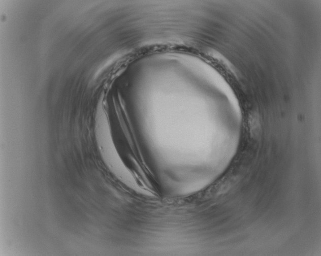 X0000075921064200610151901