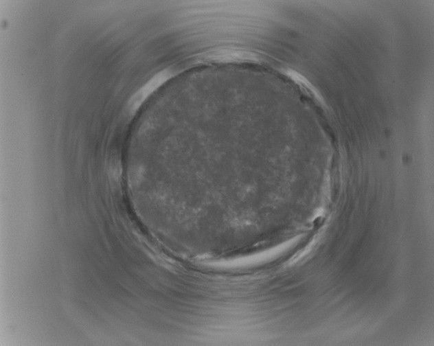 X0000075921065200610151901