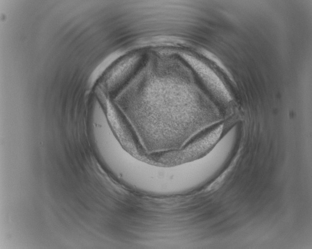 X0000075921066200610151901