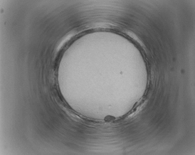 X0000075921067200610151901