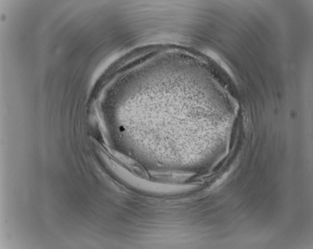 X0000075921069200610151900