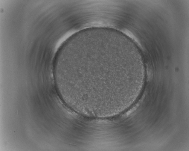 X0000075921070200610151900