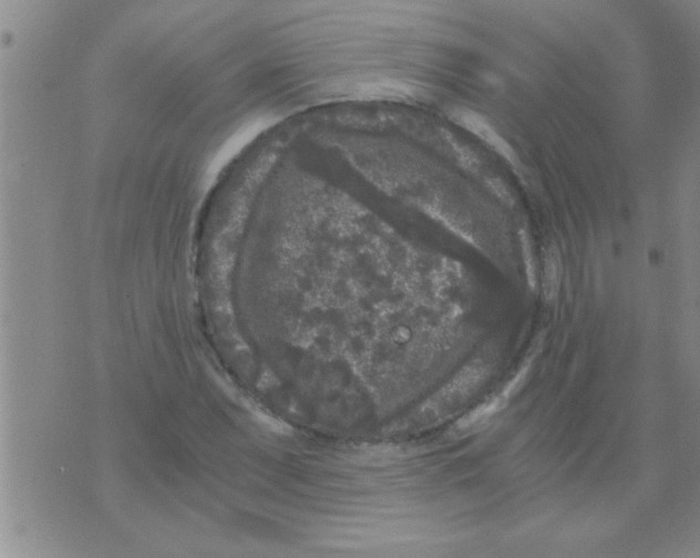 X0000075921071200610151900