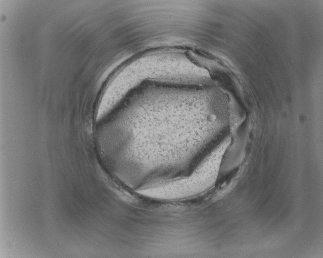 X0000075921073200610151900