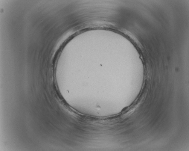 X0000075921075200610151900