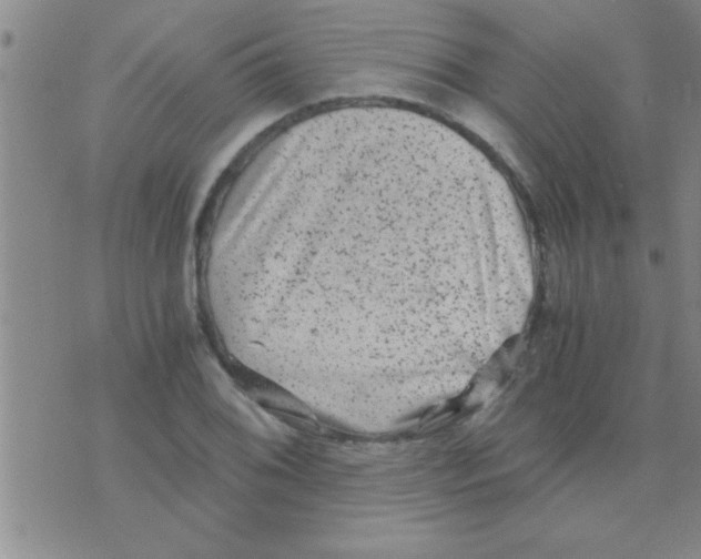 X0000075921076200610151900