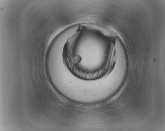 X0000075921077200610151900