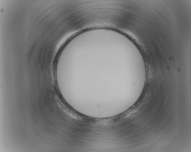 X0000075921078200610151900