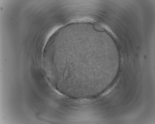 X0000075921079200610151900