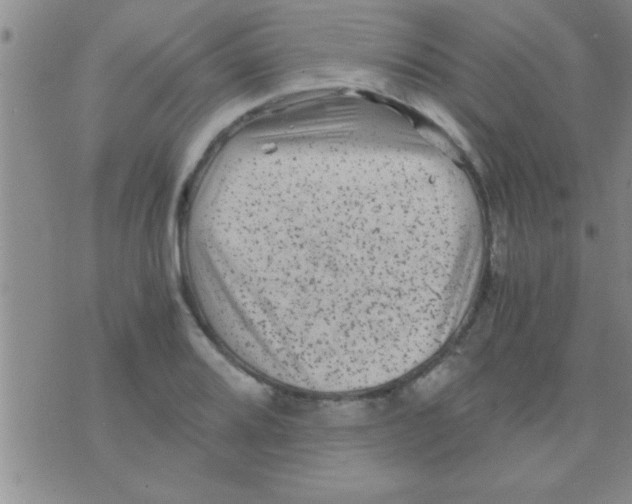 X0000075921080200610151900