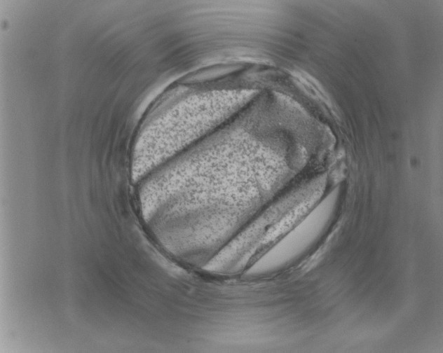 X0000075921081200610151900