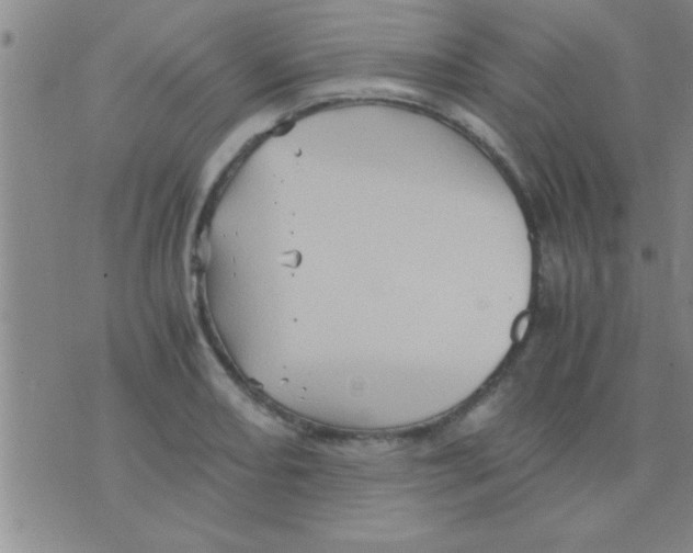 X0000075921082200610151900