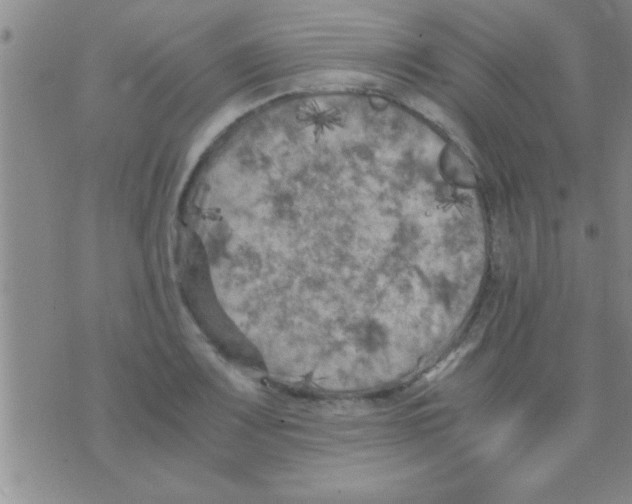 X0000075921083200610151900