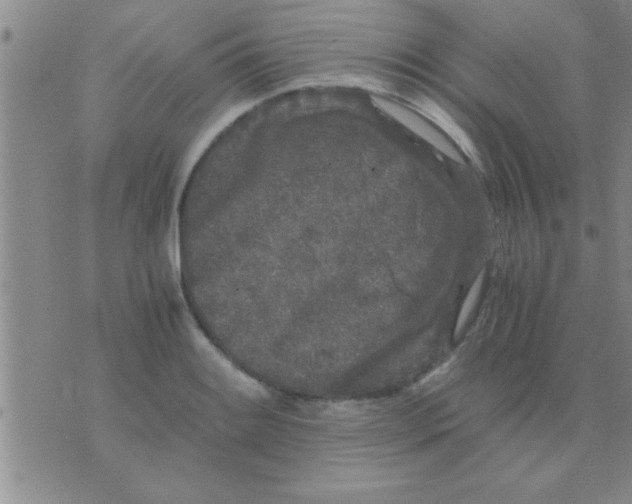 X0000075921084200610151900