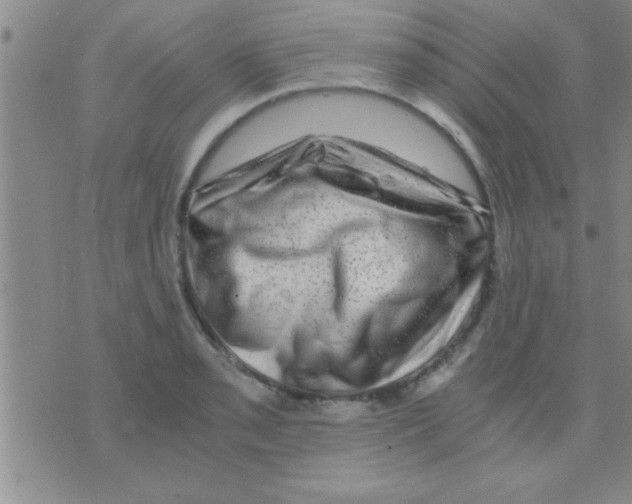 X0000075921085200610151900