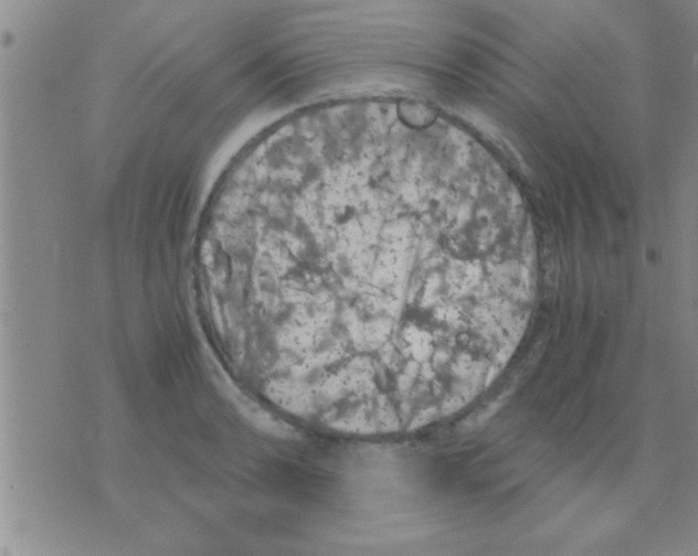 X0000075921086200610151900