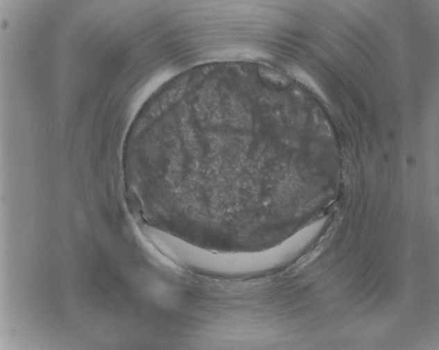 X0000075921087200610151900