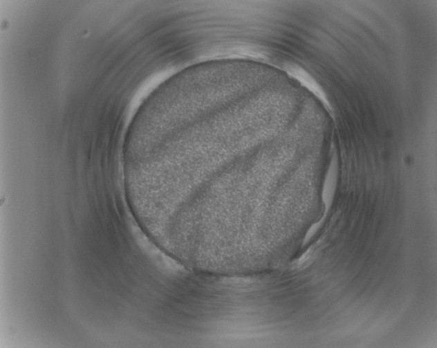 X0000075921088200610151900