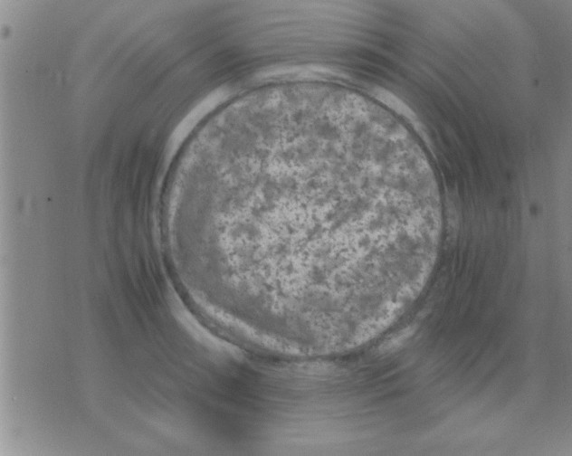 X0000075921090200610151900