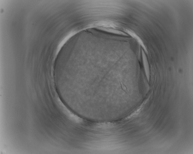 X0000075921091200610151900