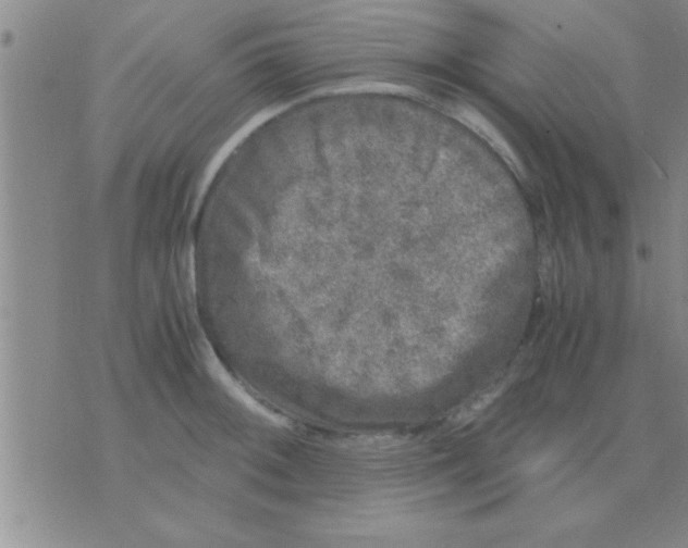 X0000075921092200610151900