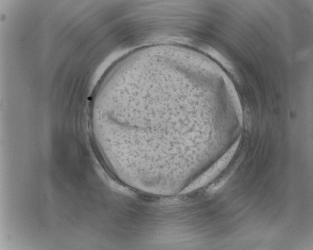 X0000075921094200610151900