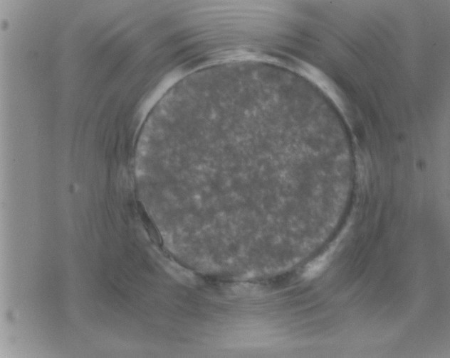 X0000075921097200610151900